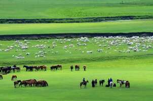 《还看今朝》大美内蒙古亮丽风景线何只是马牛羊……